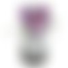 Crocus  violet