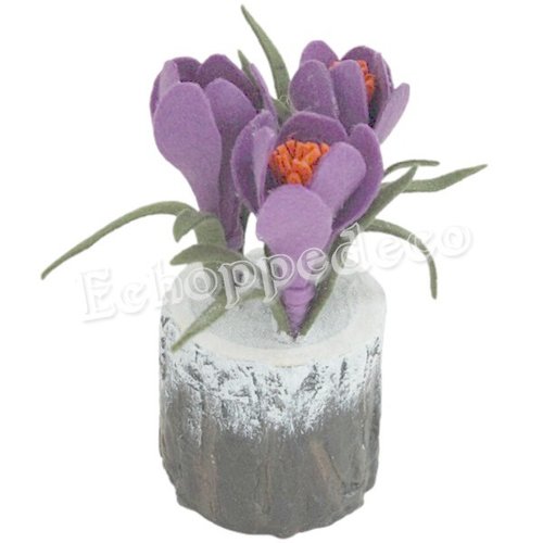 Crocus  violet
