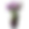 Fleur, pot de 5 iris violet