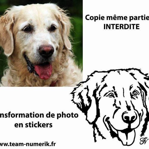 Stickers Personnalisé Animal Compagnie Chien Chat Cheval