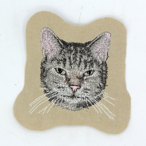 Écusson patch brodé english domestic tabby shorthair applique thermocollant broderie chat british