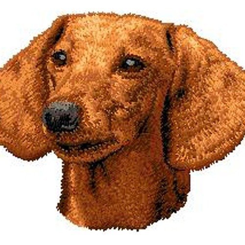 Écusson patch brodé teckel applique thermocollant broderie chien dachshund casquette sac harnais manteau cadeau gift mom dad