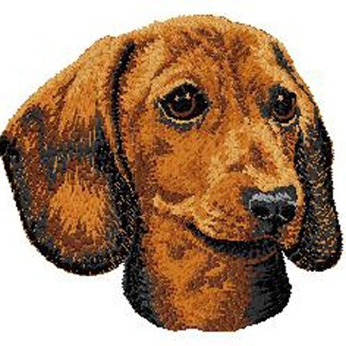 Écusson patch brodé teckel applique thermocollant broderie chien dachshund casquette  sac harnais manteau cadeau gift mom dad