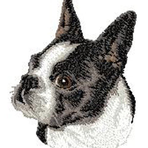 Écusson patch brodé boston terrier applique thermocollant broderie chien