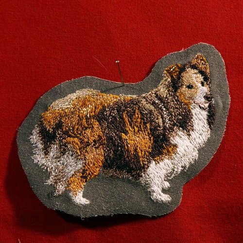 Écusson patch brodé berger des shetland applique thermocollant broderie chien troupeau sheltie