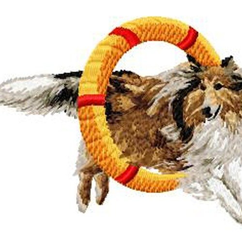 Écusson patch brodé colley applique thermocollant broderie chien berger écossais pneu agility