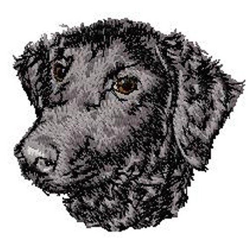 Écusson patch brodé curly coated retriever applique thermocollant broderie chien