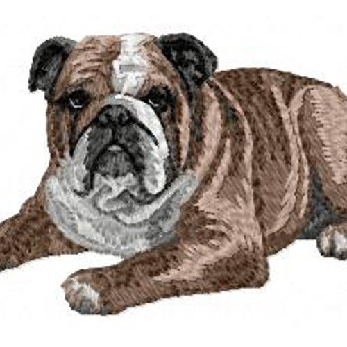 Écusson patch brodé bouledogue anglais applique thermocollant broderie chien bulldog boubou ornement textile vêtement bagagerie sac tote