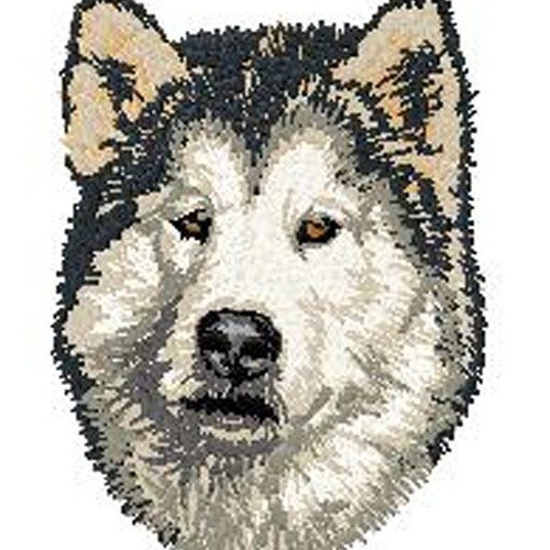 Écusson patch brodé malamute applique thermocollant broderie chien