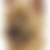 Écusson patch brodé cairn terrier applique thermocollant broderie chien