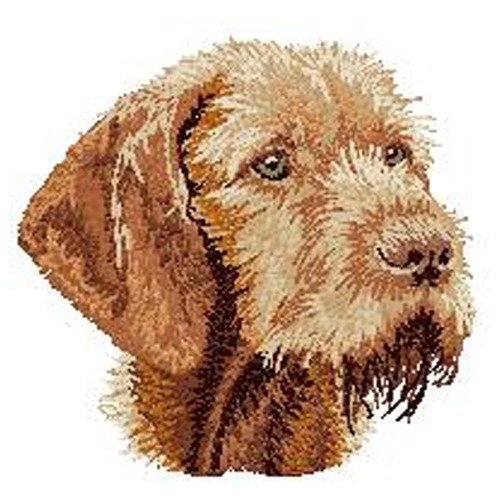 Écusson patch brodé vizsla wirehaired applique thermocollant broderie chien braque hongrois à poil dur wire-haired