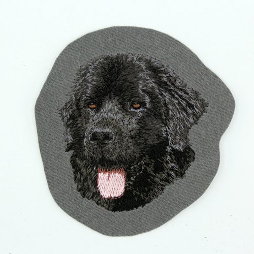 Étiquette autocollante personnalisée réfléchissante pour chien, plaque  nominative, Patch Velcro pour harnais, fournitures pour animaux de  compagnie, 2 pièces