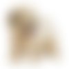Écusson patch brodé bichon applique thermocollant broderie chien maltais bolonais frisé havanais russe