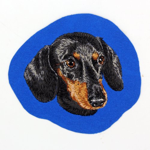 Écusson patch brodé teckel applique thermocollant broderie chien dachshund ornement vêtement bagagerie sac tote bag casquette