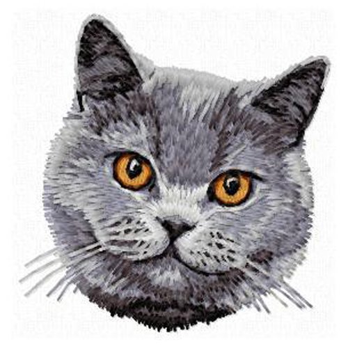 Écusson patch brodé kitten applique thermocollant broderie chat british shorthair