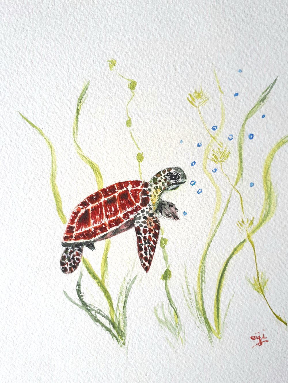 Petite Tortue De Mer A L Aquarelle Un Grand Marche