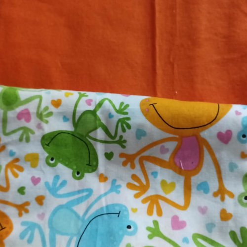 Reserve v. protège carnet de santé pour enfant, grenouilles colorées, prénom brodé