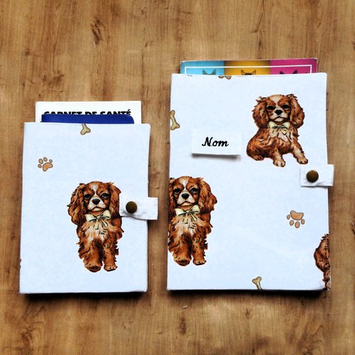 Couverture de carnet de santé pour chiens, etui passeport, range ordonnance, cavalier king charles rubis,  nom brodé