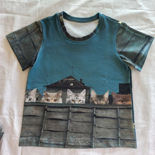 Tee-shirt enfant chat taille 6 ans