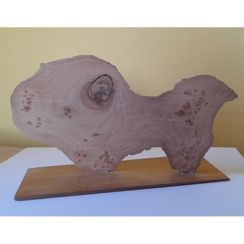 C'est un poisson ? ou ???