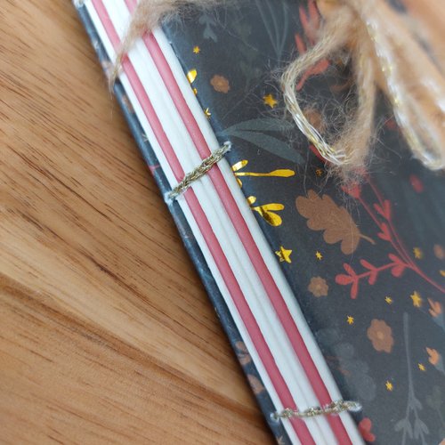 Carnet de note, d'écriture couverture souple de noël