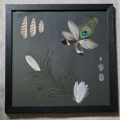 Cadre décoratif avec des plumes naturelles