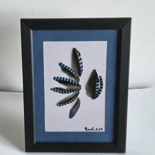 Cadre "plumes de geai"