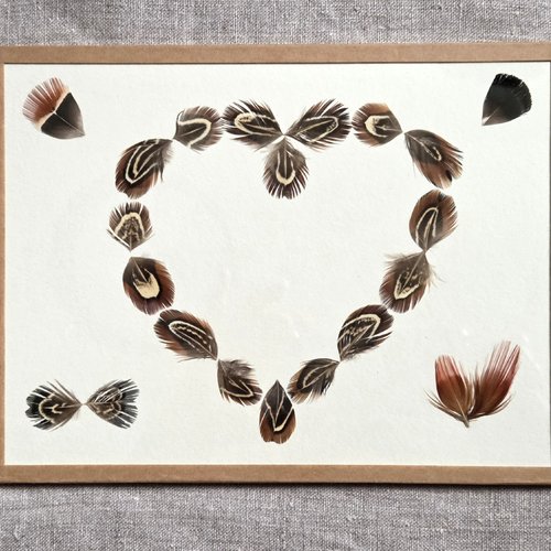 Cadre décoratif avec des plumes naturelles