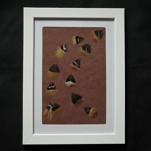 Cadre avec plumes "quand vient l'automne"