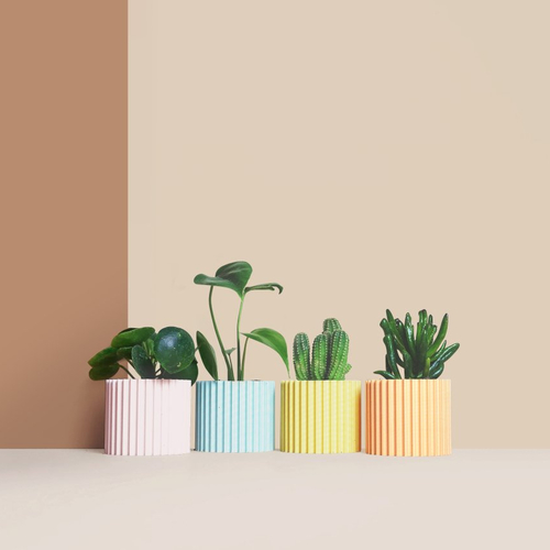 Grand cache-pot en plastique recyclé pour cactus et succulentes  - fabrication artisanale française - cadeau pour la maison
