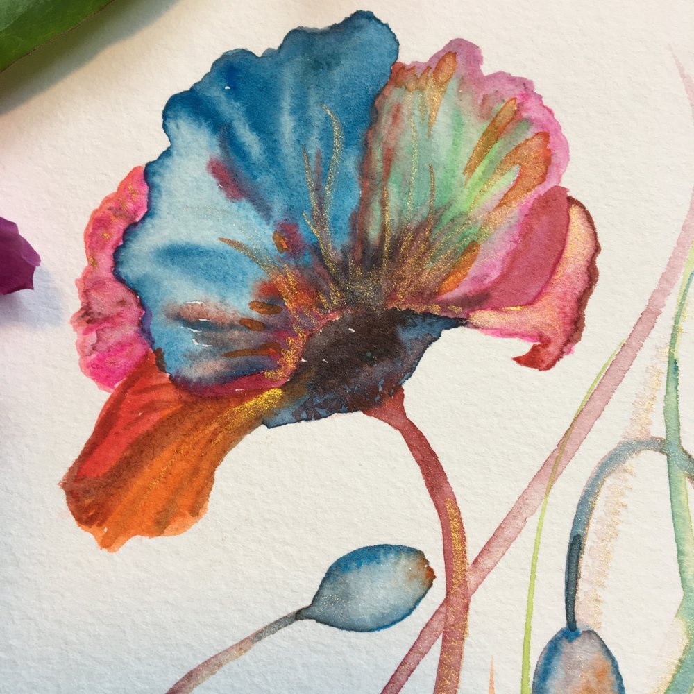  Coquelicot  bleu carte aquarelle  carr e 13 5 avec son 