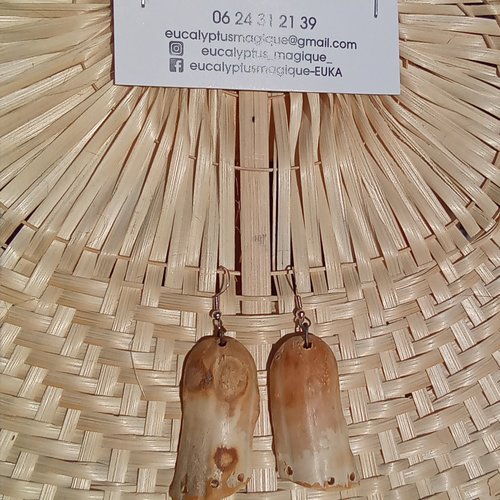 Paire de boucles d'oreilles en coloquinte