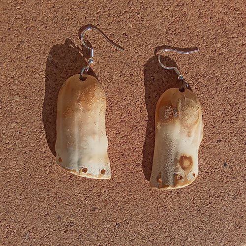 Paire de boucles d'oreilles en coloquinte