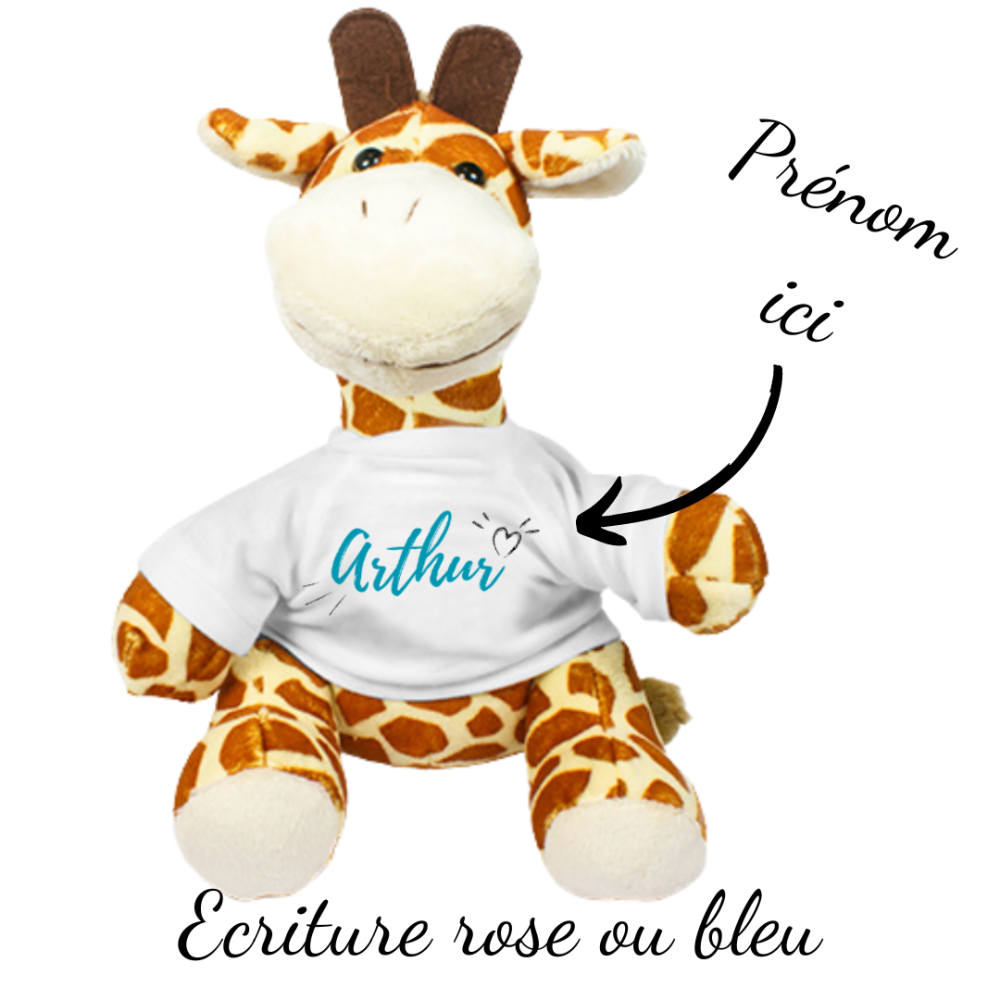Peluche animal avec t-shirt personnalisable Prénom et Photo · Cadeau  naissance bébé · Grenouille