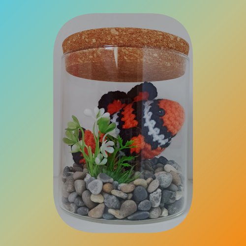 Mini aquarium trésors marins