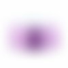 Queue de rat 1.5 mm violet x1 m