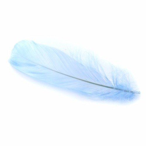 Plume nageoire d'oie ± 15 cm bleu clair x5