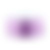 Queue de rat violet (mauve clair) 2.2 mm x1 m