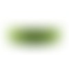 Corde escalade vert clair ronde 2,5 mm x1 m