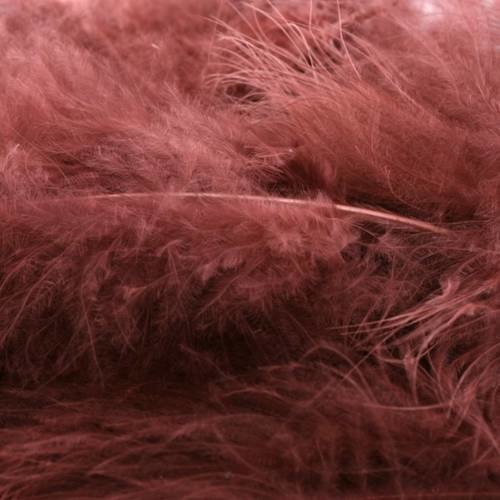 Plumes marabout framboise x10