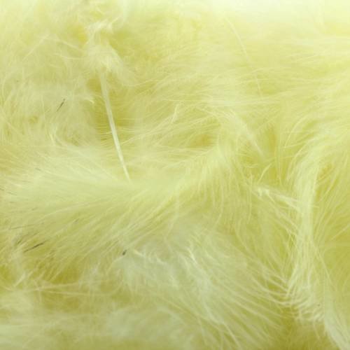Plumes marabout jaune clair x10
