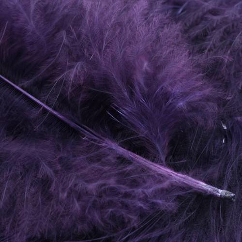 Plumes marabout lilas x10