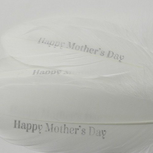 Plume "happy mother's day " blanc et argenté (fête des mères)