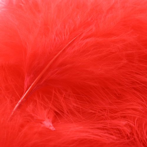 Plumes marabout rouge x10