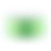 Queue de rat vert clair fluo 1,5 mm x1 m