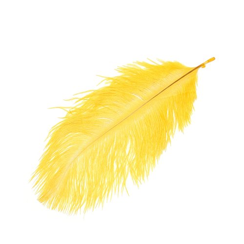 Plume d'autruche ± 15-20 cm jaune