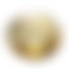 Cabochon rond polaris 12 mm glitter doré