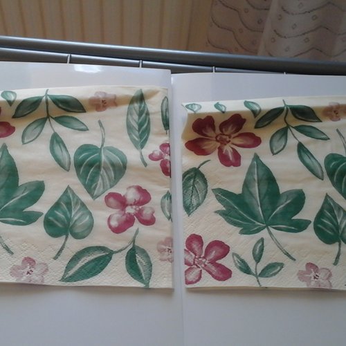 Lot de 2 serviettes de table en papier 