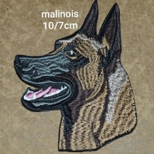 Patch termocollant chien malinois , 10/7 cm