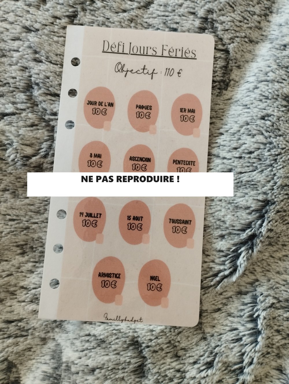 A6 Budget Planner Francais avec défi (lot de 24) - 8 défis pour économiser  de l'argent - Accessoires pour A6 Classeur - Set de défi avec 1€, 2€, 5€, 10€, 20€, 50€, 52 jours